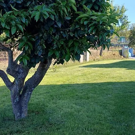 Lejlighed Mamasosa's Villas,tropea Santa Domenica (Vibo Valentia)