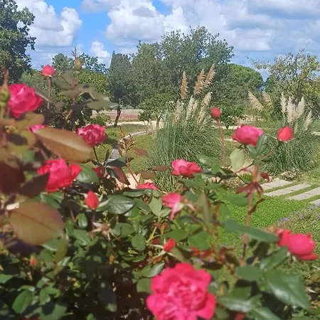 Mamasosa's Villas,tropea * Santa Domenica (Vibo Valentia)