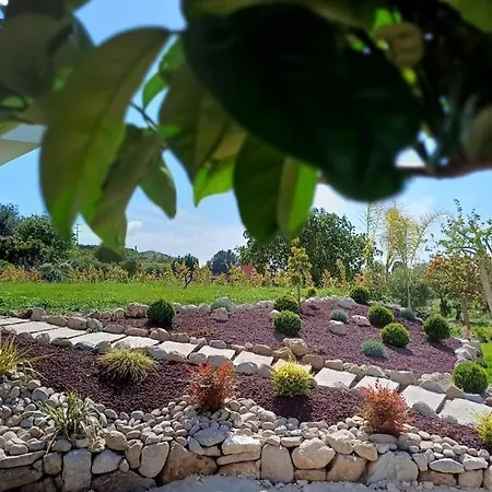 Mamasosa's Villas,tropea Lejlighed