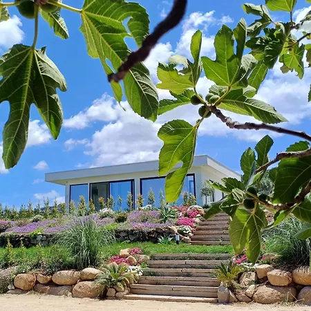 Lejlighed Mamasosa's Villas,tropea Santa Domenica (Vibo Valentia)