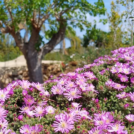 Lejlighed Mamasosa's Villas,tropea Santa Domenica (Vibo Valentia)