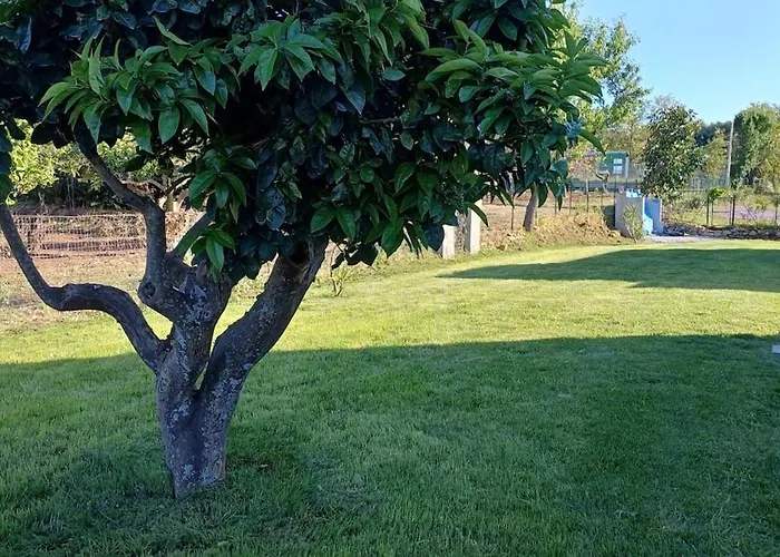 דירה Mamasosa's Villas,tropea סנטה דומניקה