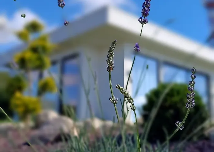 Mamasosa's Villas,tropea סנטה דומניקה