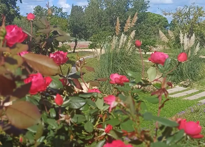 Mamasosa's Villas,tropea * סנטה דומניקה