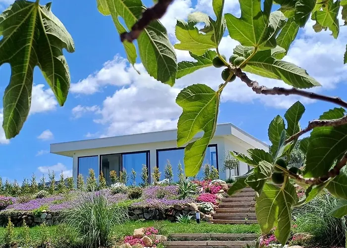 דירה Mamasosa's Villas,tropea סנטה דומניקה