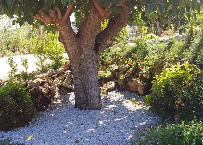 Mamasosa's Villas,tropea דירה *